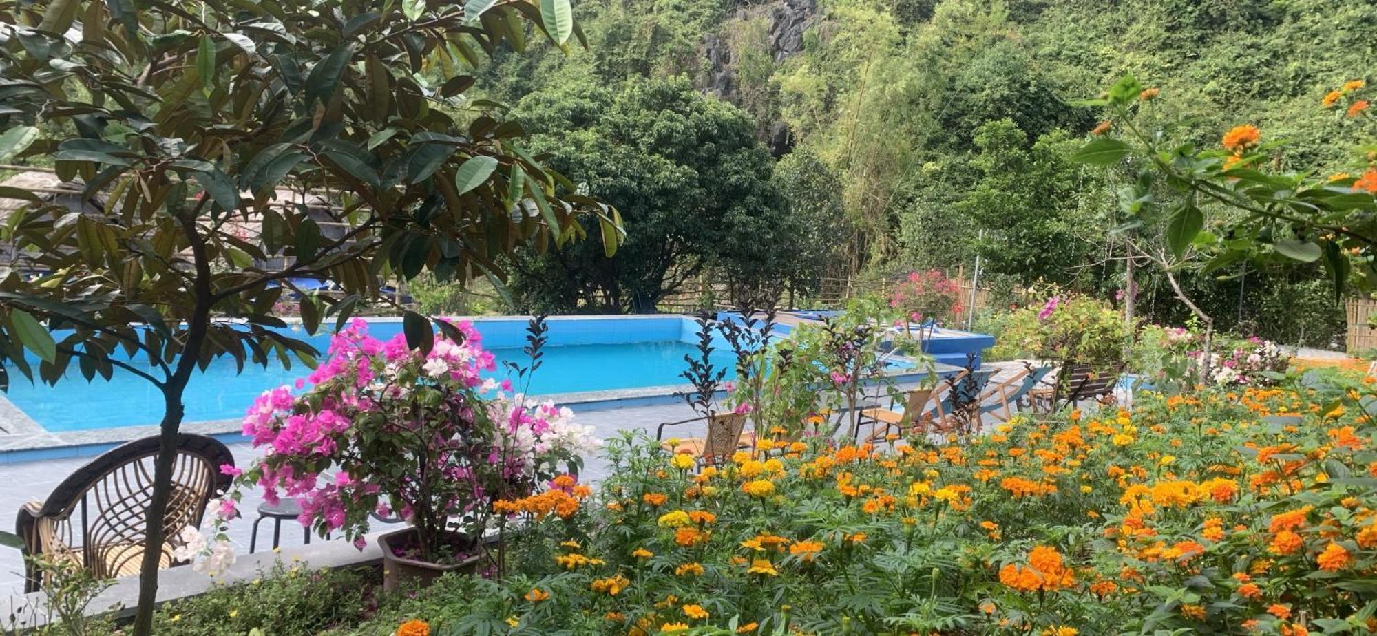 Cat Ba Island Garden Homestay - Papillon Extérieur photo