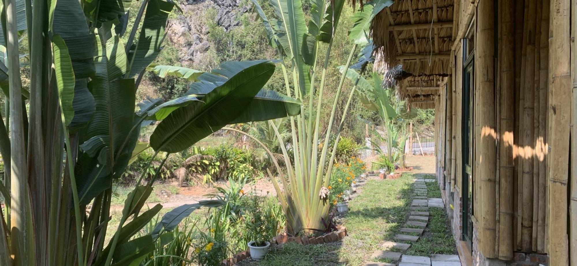 Cat Ba Island Garden Homestay - Papillon Extérieur photo