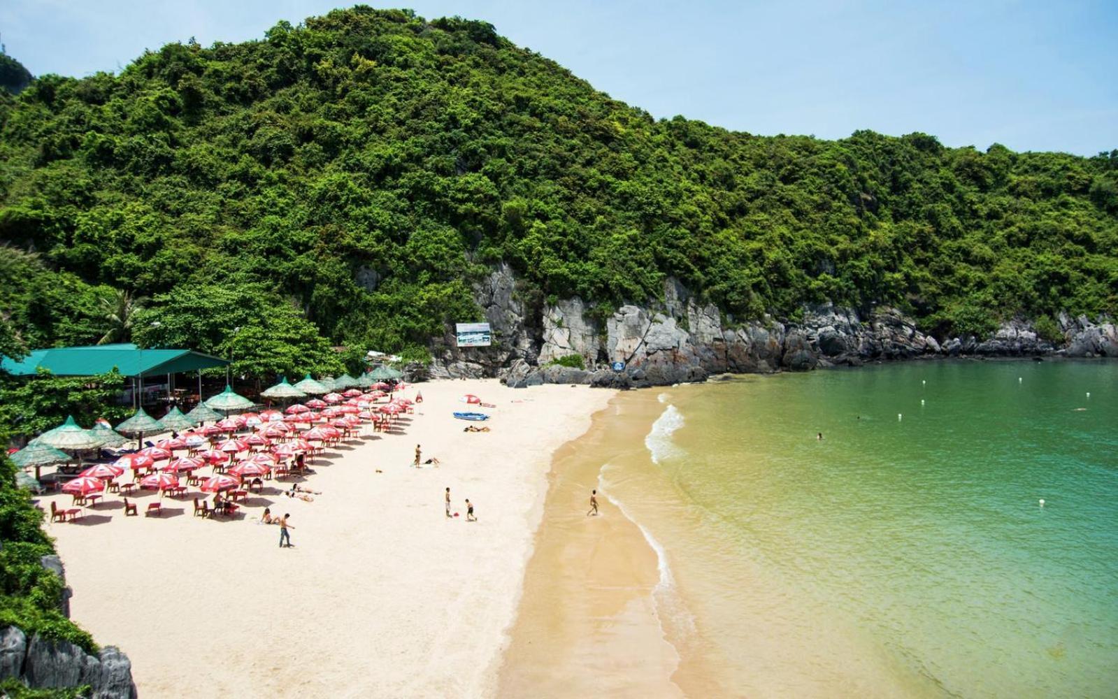Cat Ba Island Garden Homestay - Papillon Extérieur photo