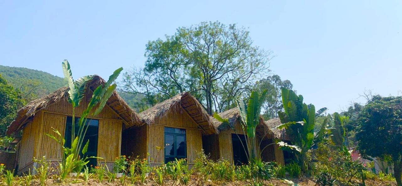 Cat Ba Island Garden Homestay - Papillon Extérieur photo
