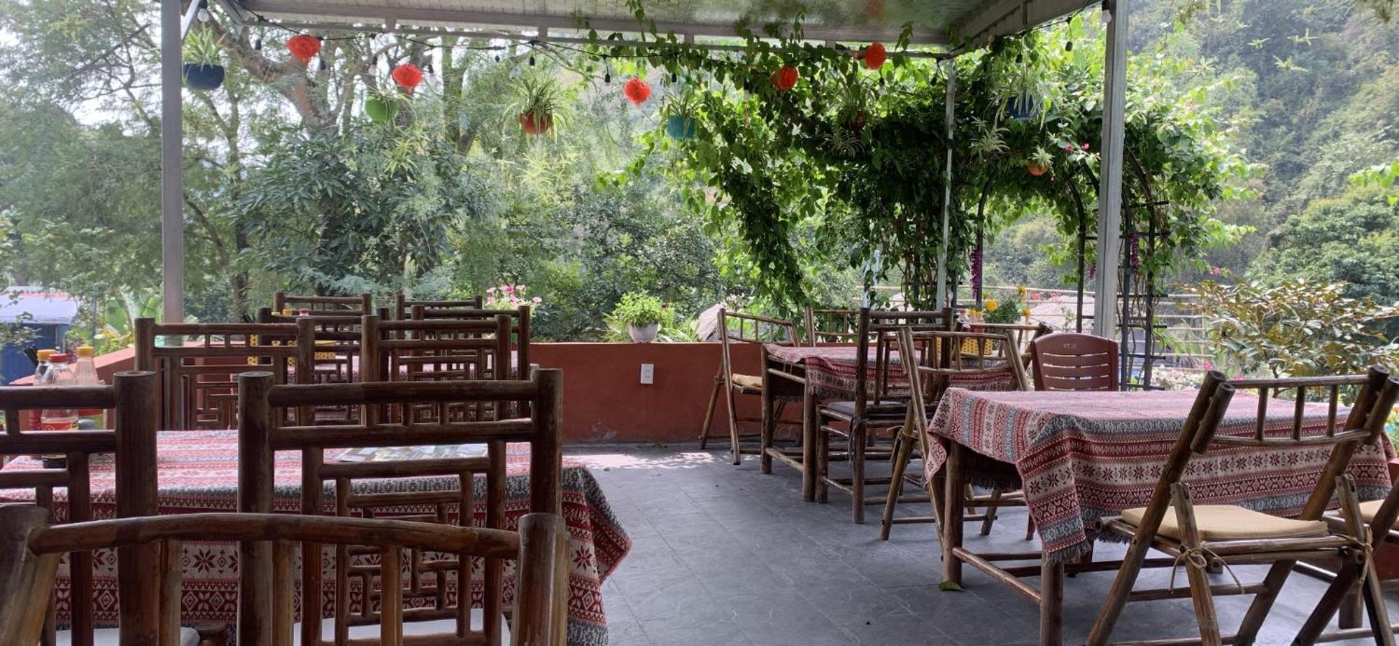 Cat Ba Island Garden Homestay - Papillon Extérieur photo