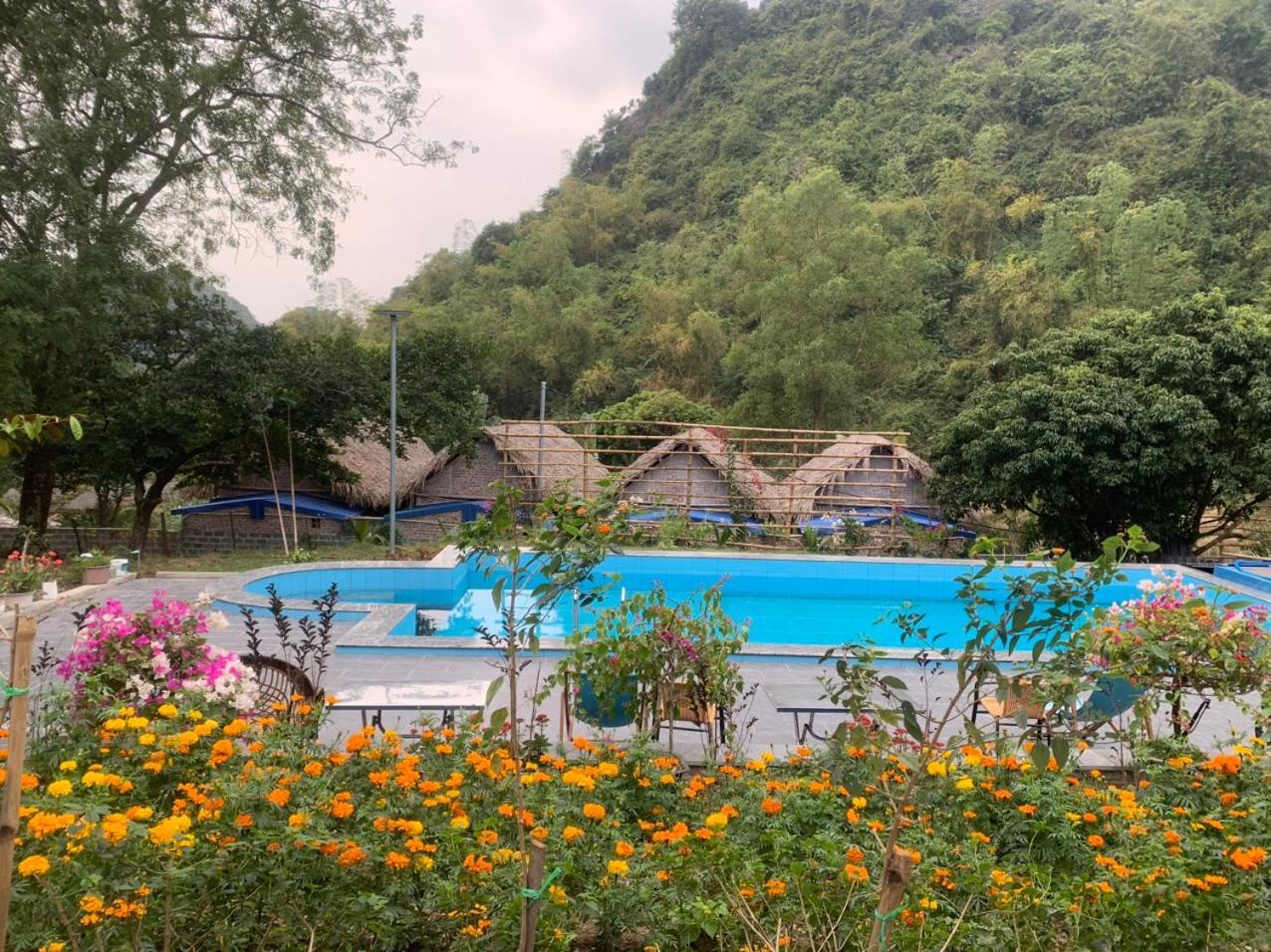 Cat Ba Island Garden Homestay - Papillon Extérieur photo