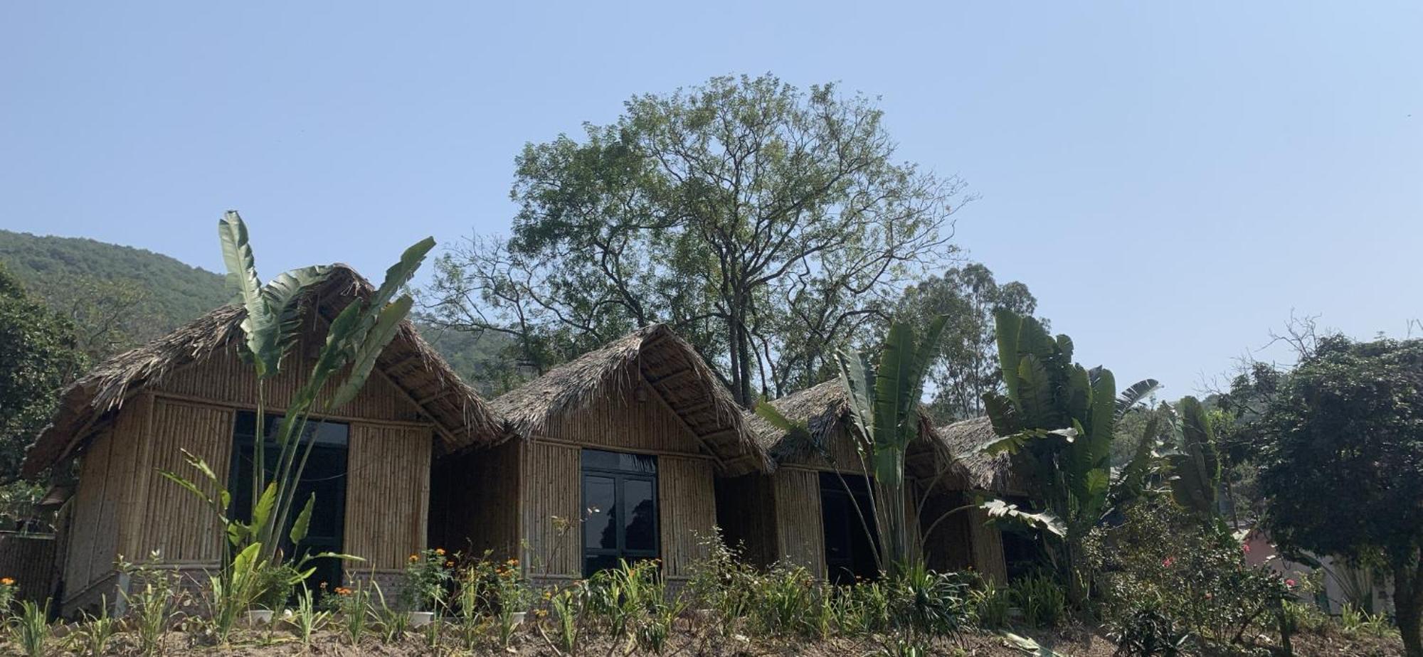 Cat Ba Island Garden Homestay - Papillon Extérieur photo